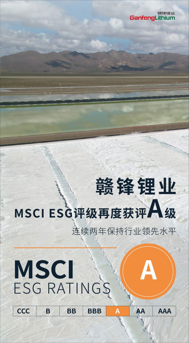 星空官方網頁版