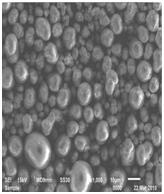 星空官方網頁版