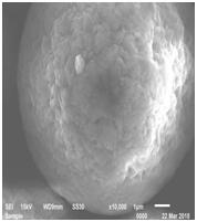 星空官方網頁版